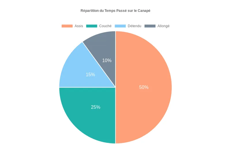 Temps passé sur le canapé  :  assis, couché...